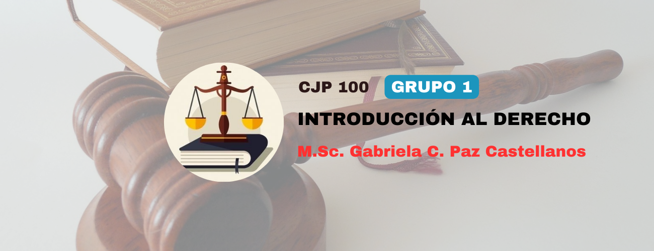 CJP100-INTRODUCCION AL DERECHO (DER) - G1/2025