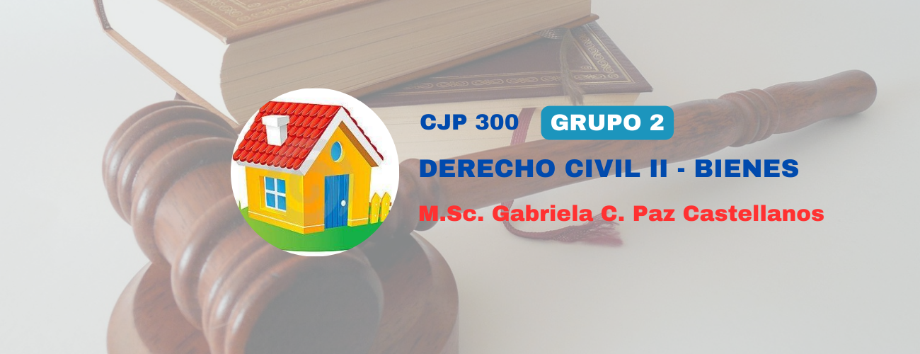 CJP300-DERECHO CIVIL II (BIENES) (DER) - G2/2025