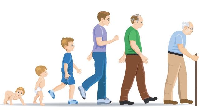 ENF104-PSICOLOGIA DEL DESARROLLO HUMANO (ENF) - G2/2025