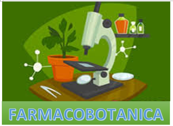 FRM305-FARMACOBOTANICA (FRM) - G5-LAB/2025