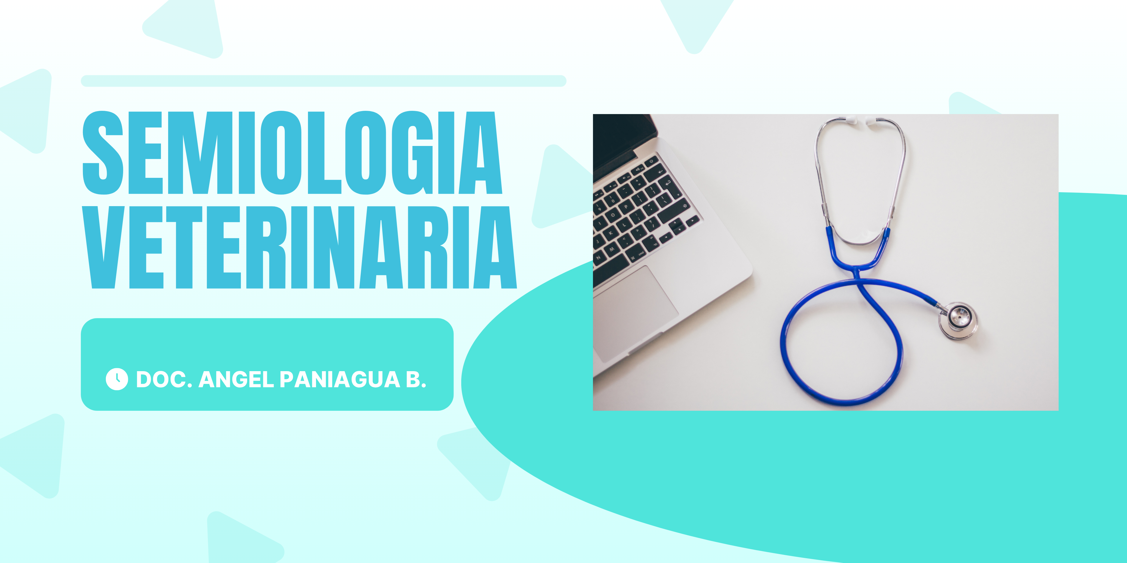 VET213-SEMIOLOGIA Y ANATOMIA APLICADA (MVZ) - G1/2025