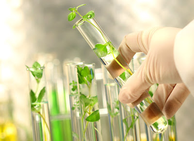 FRM305-FARMACOBOTANICA (FRM) - G1/2026