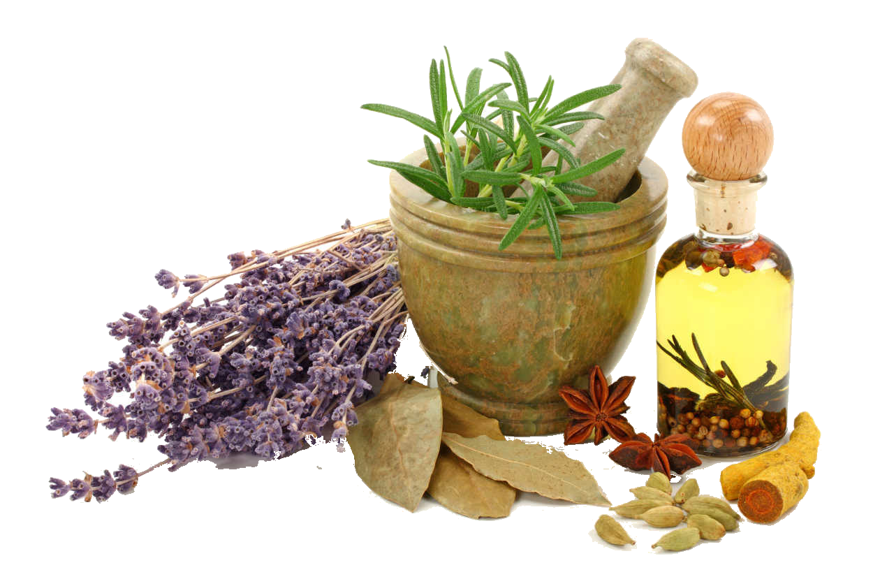 FRM402-FARMACOGNOSIA II (FRM) - G1/2026