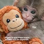 EST504-ODONTOPEDIATRIA II (ODO) - G3/2026