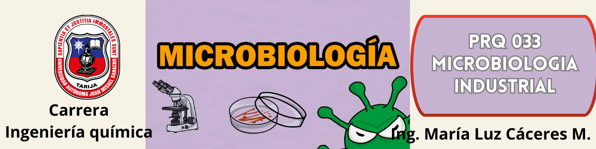 PRQ033-MICROBIOLOGIA INDUSTRIAL (IQU) - G1/2026