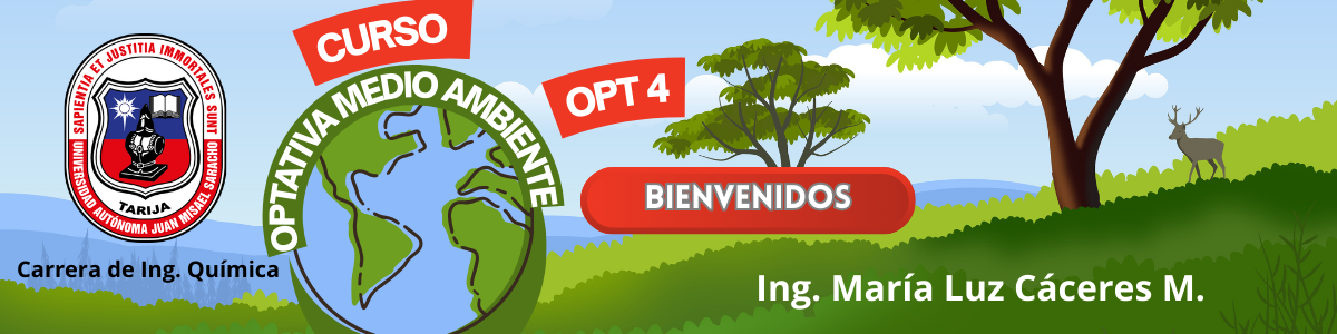 OPT4-PROFESIONAL II-OPTATIVA (M.MEDIO AMBIENTE) (IQU) - G1/2026