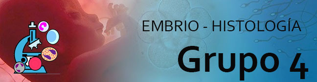 MOR102-EMBRIOLOGIA E HISTOLOGIA ESTOMATOLOGICA (ODO) - G4/2026