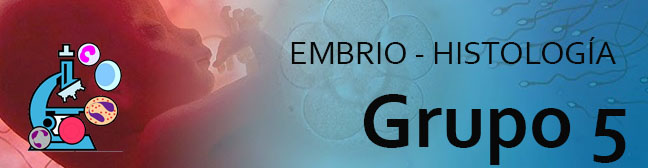 MOR102-EMBRIOLOGIA E HISTOLOGIA ESTOMATOLOGICA (ODO) - G5/2025