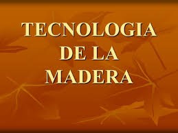 FOR038-TECNOLOGIA DE LA MADERA (IFO) - G1/2025