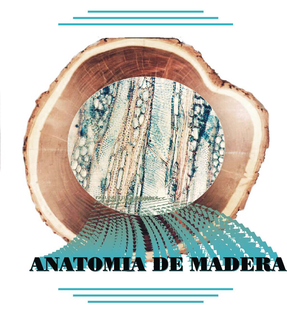 FOR026-ANATOMIA DE LA MADERA (IFO) - G1/2025