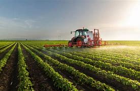 AUD330-CONTABILIDAD AGROPECUARIA (AUD) - G3/2025